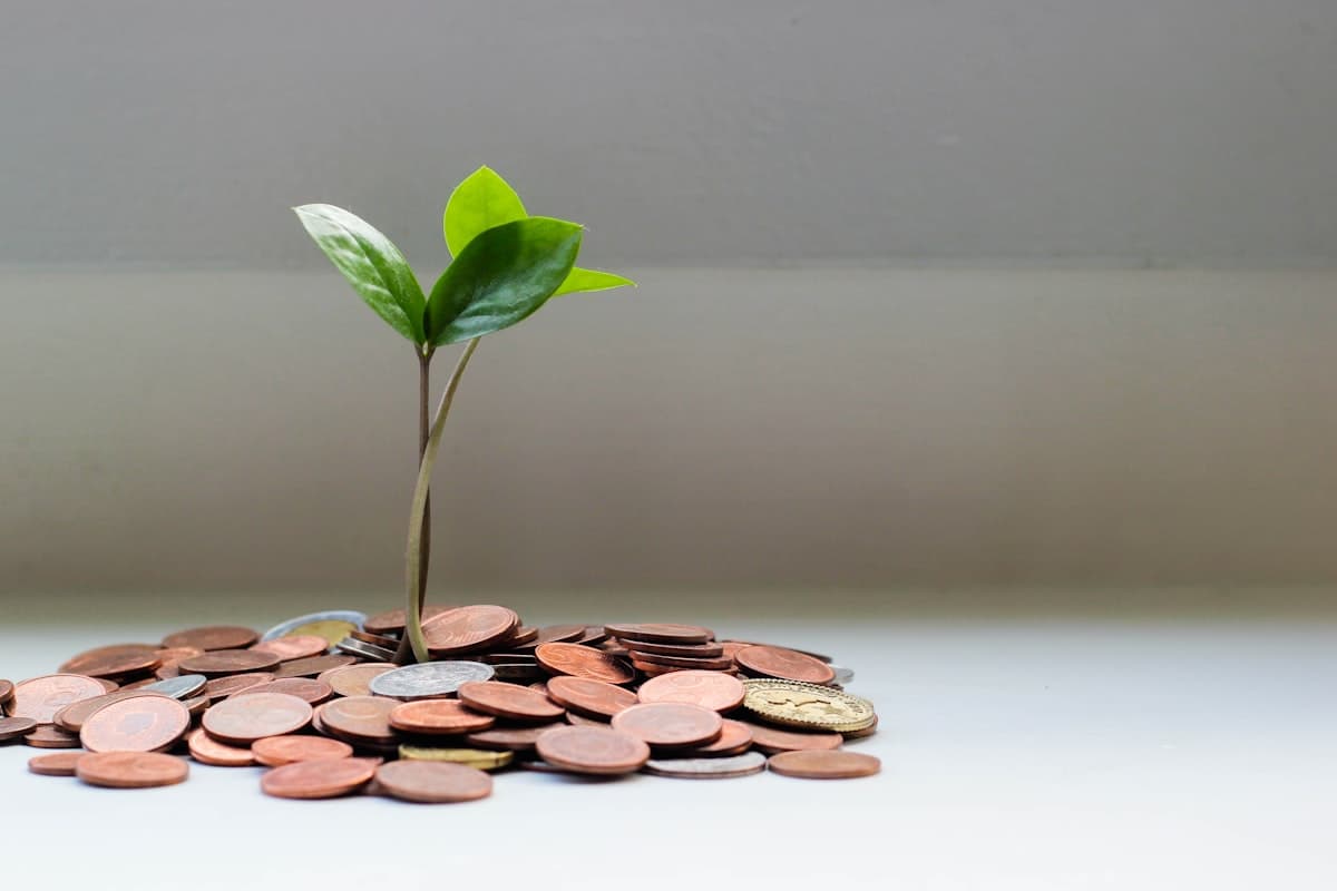 Coins and growth chart representing economic planning